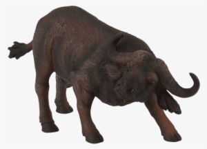 Free Png African Buffalo Png Images Transparent - Best Price Modern Wholesale