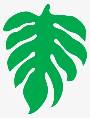 2019 Green Jungle Leaf - Illustration
