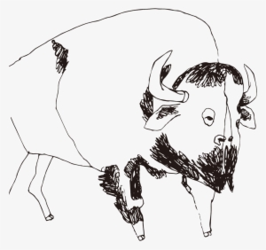 Buffalo - Sketch