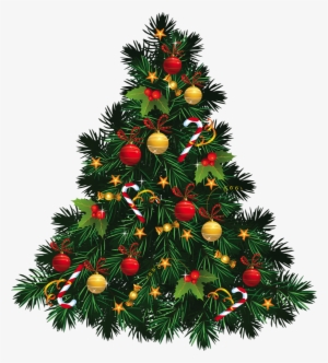 For Any Additional Information Please Contact Candis - Christmas Tree Images Png