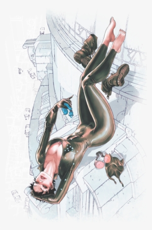 Justice League Catwoman - Catwoman Vol. 1: The Game (the New 52)