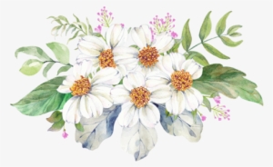 Flower Prints, Clip Art, Floral Prints, Illustrations, - 水彩 小花