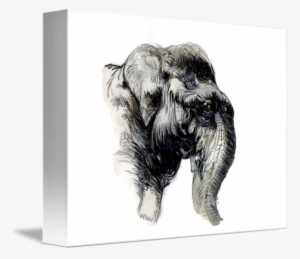 Elephant Head Watercolor By Penny Winn Graphic Black - Watercolor Painting