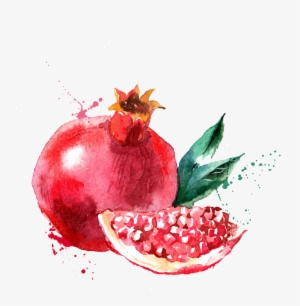 Watercolor Painting Fruit Drawing Illustration