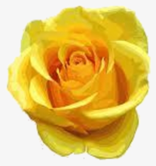 Yellow Rose Clipart One Single - Yellow Rose Flowers Png