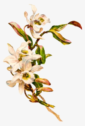Victorian Vintage Flowers - Plant Mockup Png