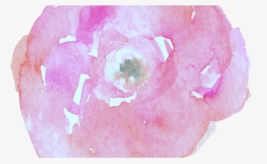 Flower Photographer Watercolor Painting Wedding Watercolor - Watercolor Painting