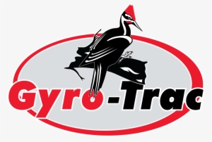 gyro trac corporation - ivory-billed woodpecker