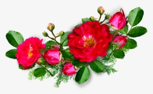 Border Flowers Png