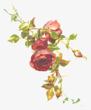 Single Red Rose Png Clipart Image - Vintage Roses