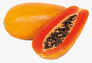 Fresh Holland Papaya - Holland Papaya