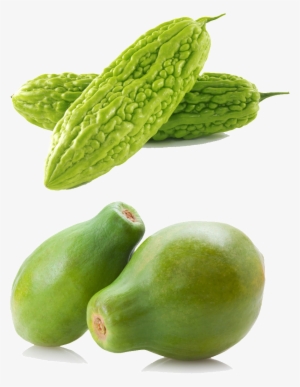 Momordica Charantia | Bitter Melon | Balsam Pear |