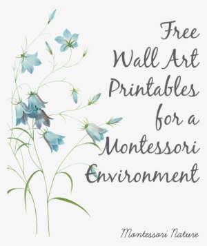 Free Wall Art Printables For A Montessori Environment