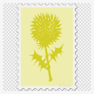 Thistle Clipart Thistle Clip Art