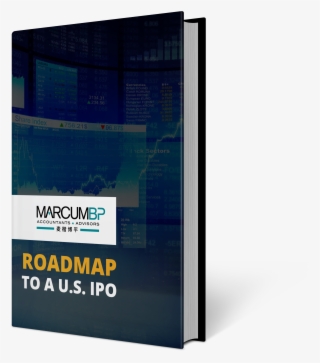Roadmap To A Us Ipo Book Mock Up-2