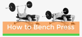 How To Bench Press On Tmhn