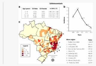 Schistosomiasis Transmission In Brazil From 2009 To
