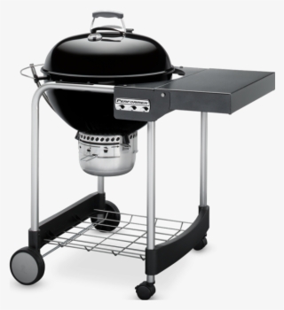 Performer Charcoal Grill