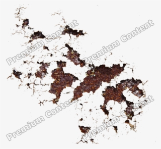 Rusted Decals
