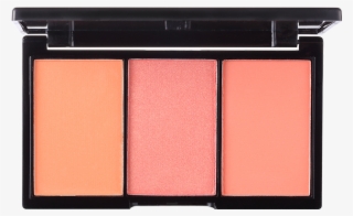3 Shade Palette