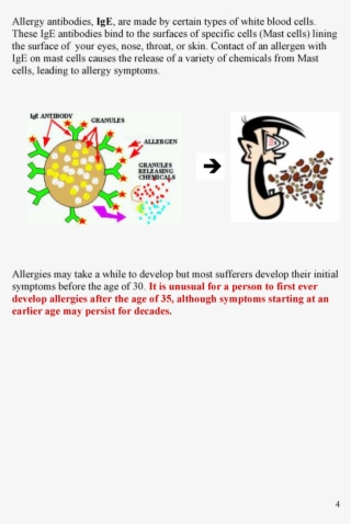 Allergy Antibodies, Ige, Are Made By Certain Types