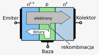 Npn Transistor Basic Operation Pl