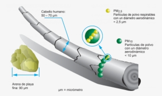 Las Partículas Son Átomos Diminutos Que Permanecen