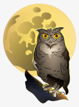 Owl And Full Moon
