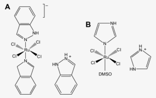 The Structure Of Kp1019 And Nami-a (b)