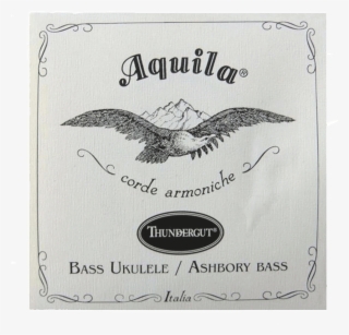 Aquila Ag Tg 4 Thundergut 4 String Bass Strings