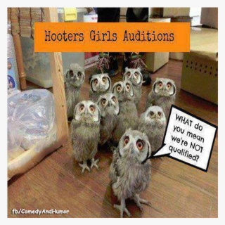 owls auditioning for hooters