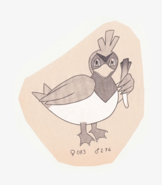 Wild Duck Pokemon
