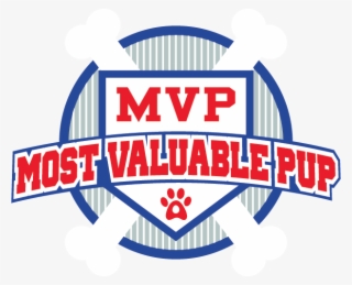 Meet The Pits To Pets Mvps
