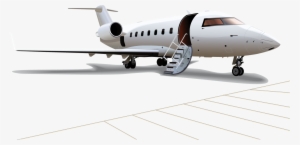 Vector