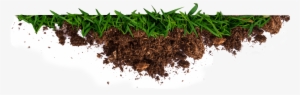 Get The Dirt On Better Gardening And Greener Living - Root