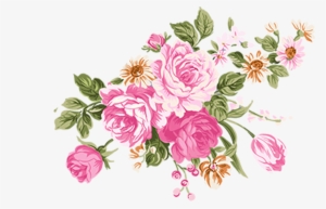 Flower Illustrations Of Rose High Definition Png Material - Flower Illustration Vector