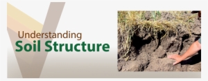 What Affects Soil Structure - Soil