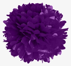 Purple Tissue Pom Poms - Turquoise Blue 20 Inch Tissue Paper Flower Pom-pom