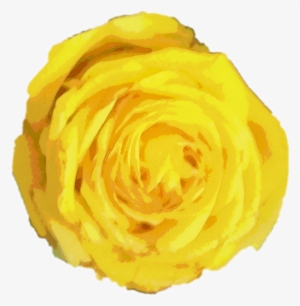 Rose Watercolor Yellow Yellowrose Flower - Watercolor Painting