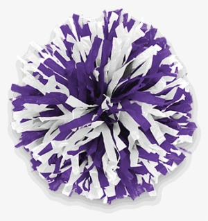 2 Color In-stock Youth Cheerleading Pom Poms - Blue And White Pom Pom