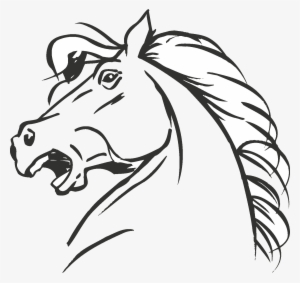 Peruvian Paso Standardbred Coloring Book Horse Head - Cabezas De Caballos Para Dibujar