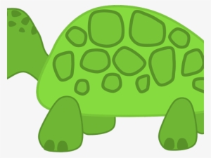 Cute Turtle Clipart - Turtle Clip Art Transparent