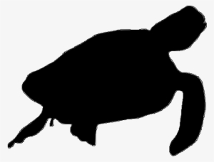Sea Turtle Silhouette Vector Images Pictures - Sea Turtle Silhouette Vector