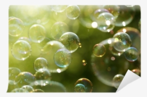 Summer Sunlight And Soap Bubbles Wall Mural • Pixers® - Poster: Flynt's Soap Bubbles Floating In The Air As