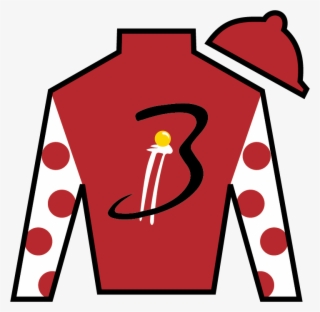 Snapper Sinclair Bloom Racing Stable