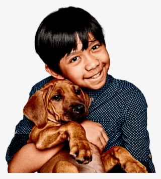 Medibank Pet Insurance