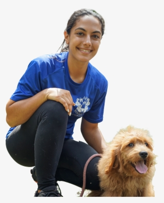Bootcamp-trainer