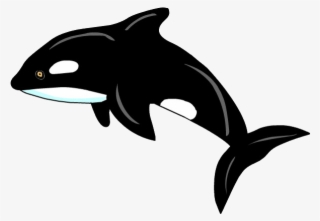 Orca Png