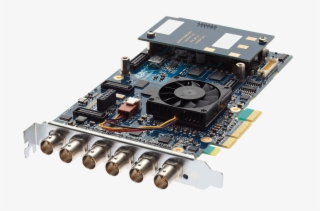 Bluefish Technologies Supernovas