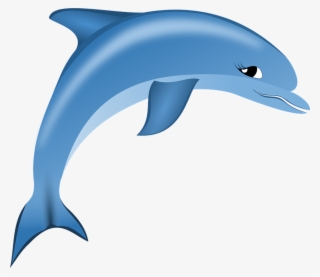 Dolphin Pictures Free